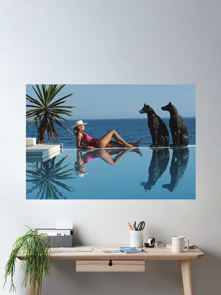 Retro Poolside Host Luxury Lif - Luxury Lifestyle Picture reseña y precio