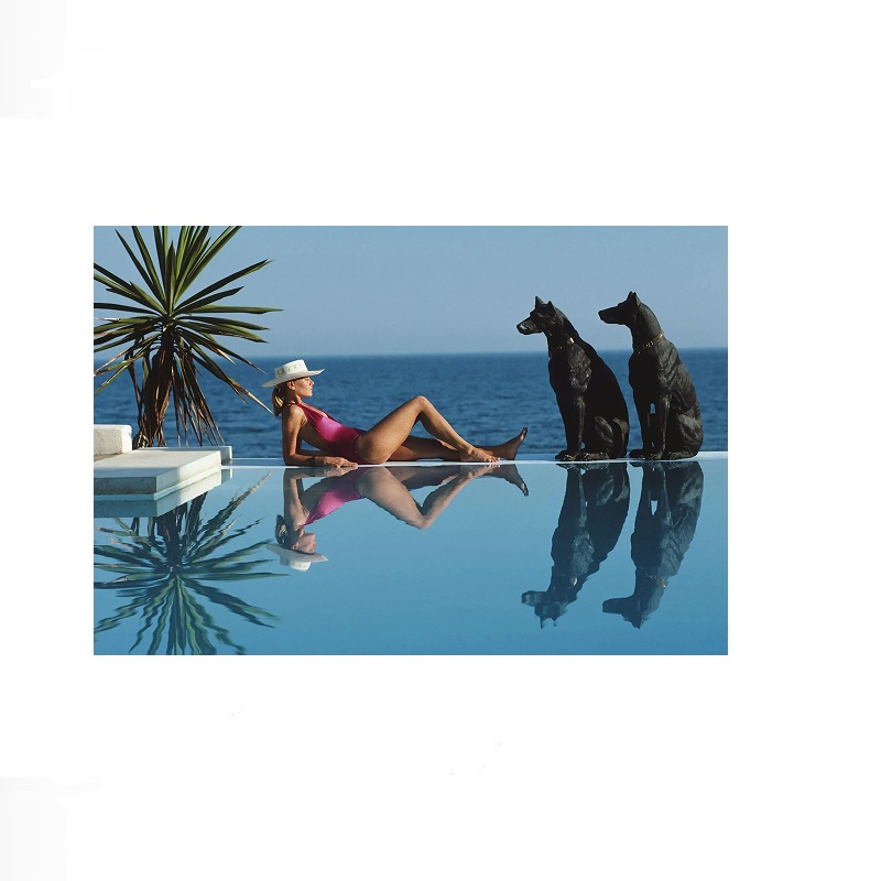 Retro Poolside Host Luxury Lif - Luxury Lifestyle Picture reseña y precio
